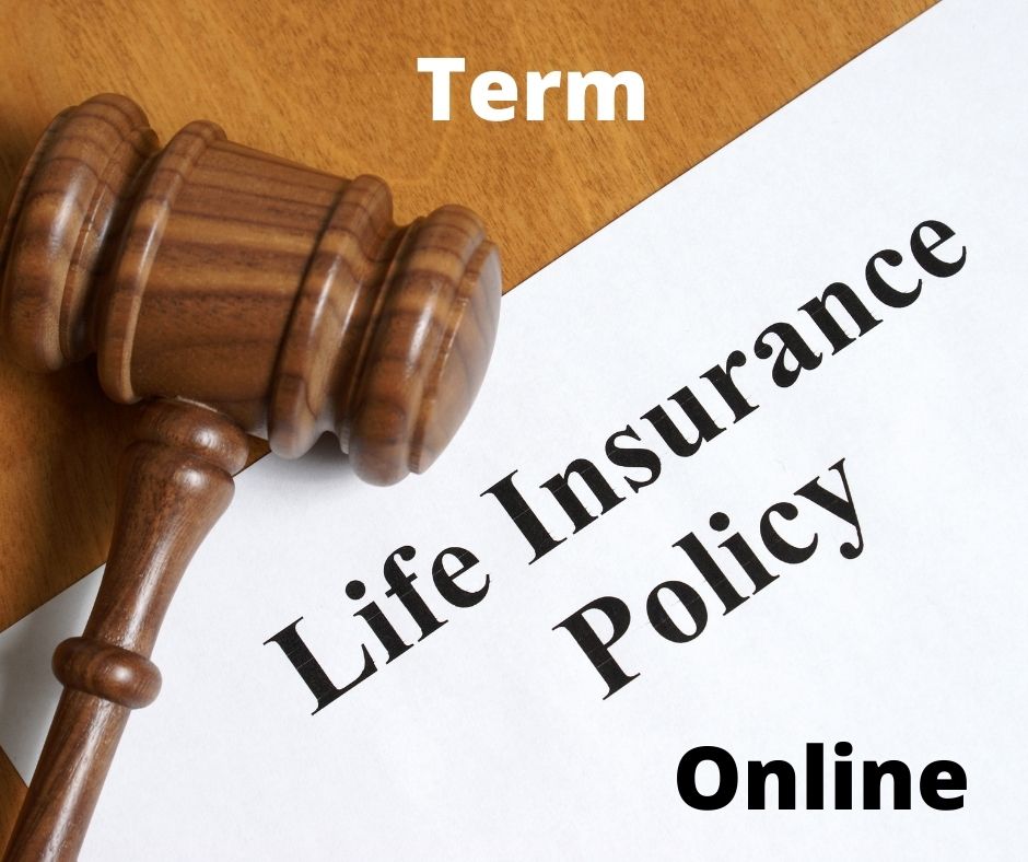 what is voluntary term life insurance